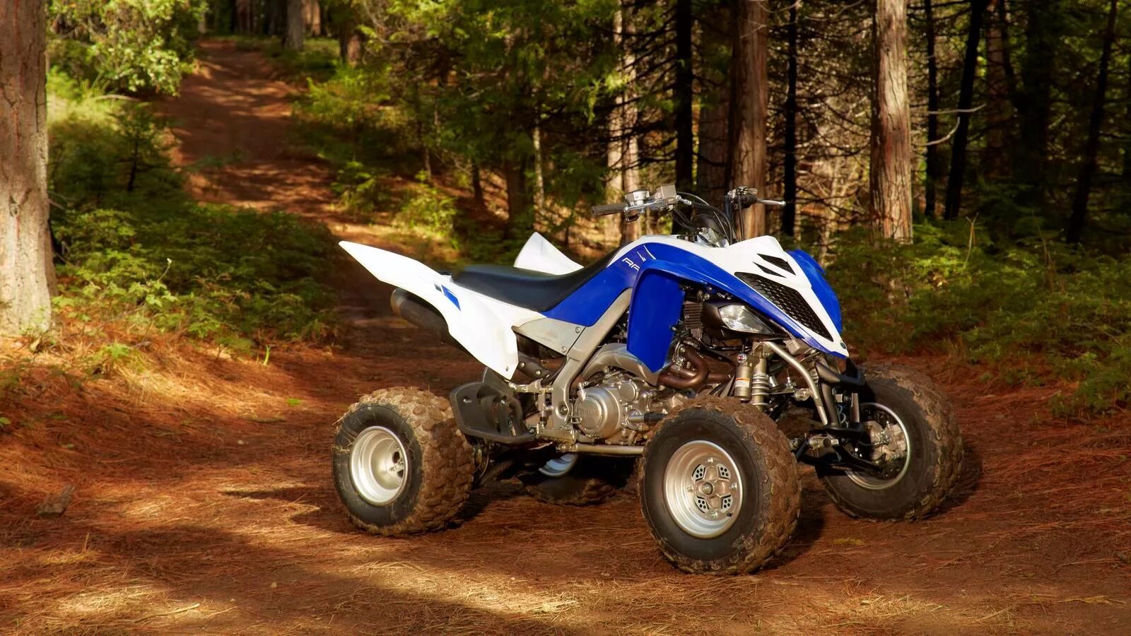 Yamaha yfm 350 росомаха. Yamaha raptor yfm700. Yamaha raptor 1200. Yamaha raptor 700. Yamaha yfm.