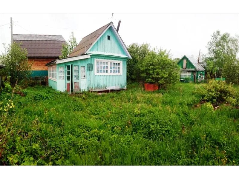 снт лира хохловка. продам дачу закамск. сосновый бор 2. продам дачу закамск. дача дачная.