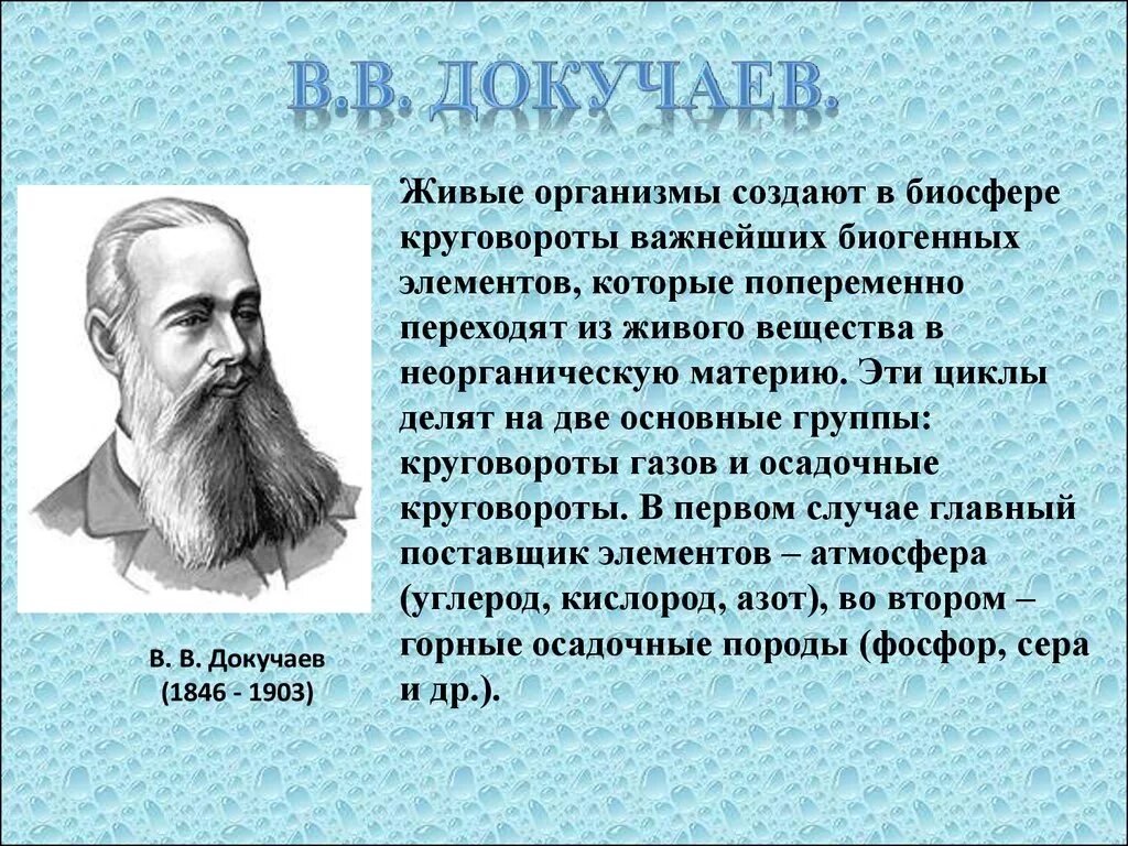 Докучаев биосфера