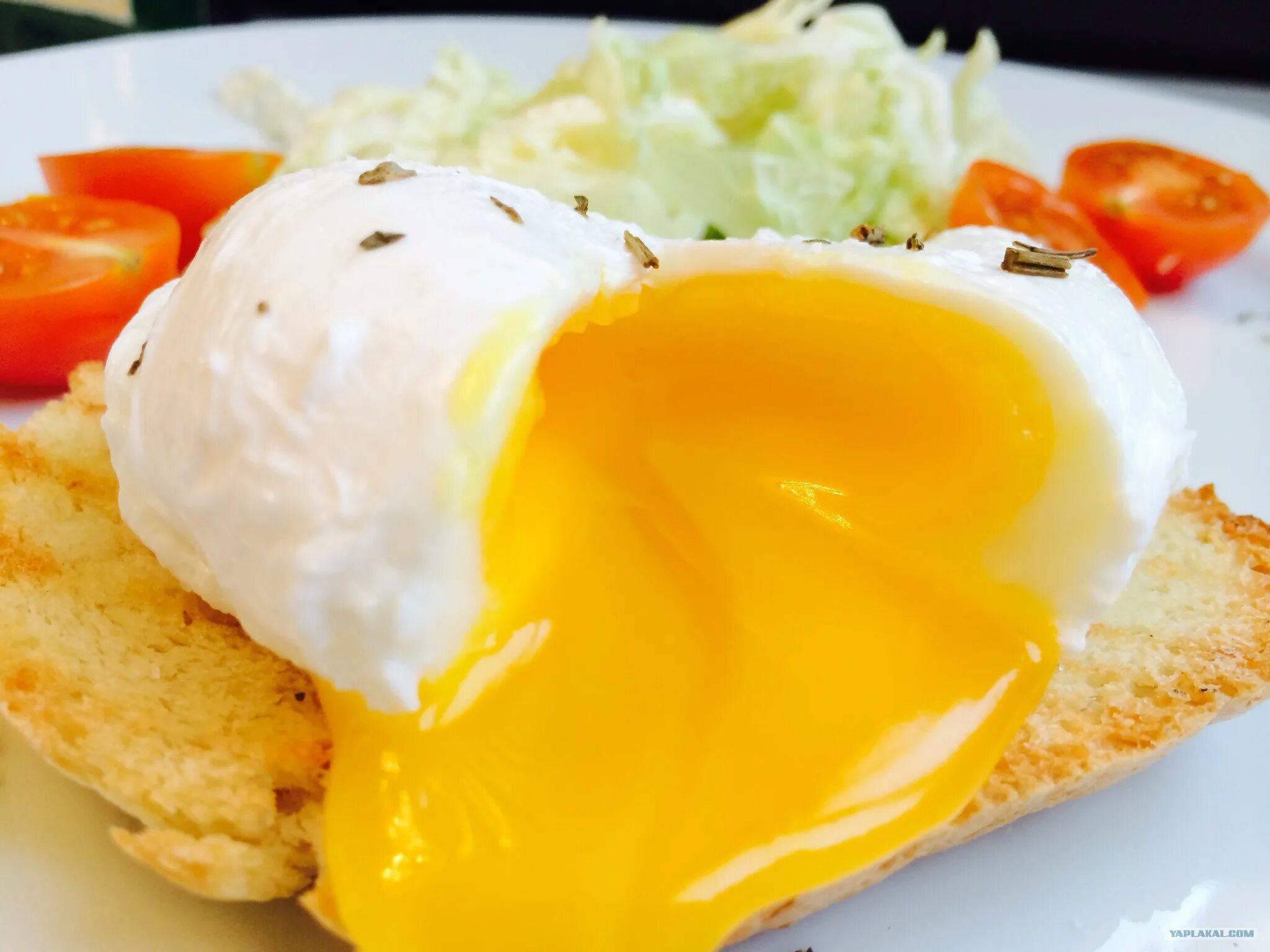 Сколько варится пашот. Страусиное яйцо пашот. Яйцо пашот желток. Сковорода для яиц пашот. Пашот и всмятку.