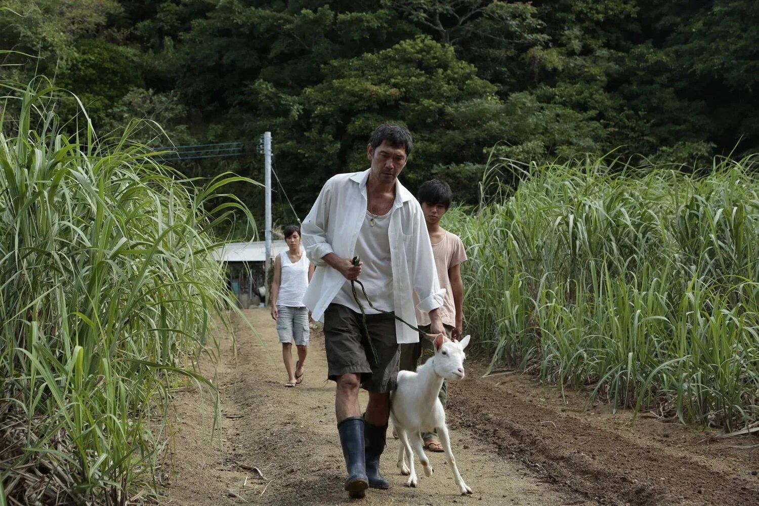 Тихие воды 1 часть. Тихая вода / Futatsume no Mado / still the Water (2014).