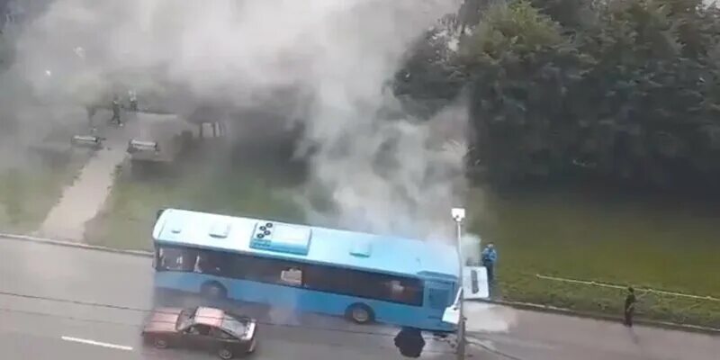 Алиса горит голубым