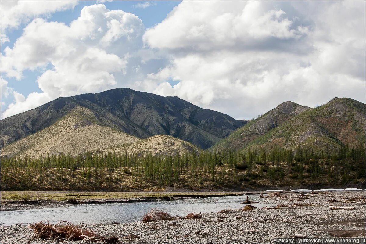 река берелех. тал юрях сусуманский район. киенг юрях. аян-юрях магаданская область. река аян путорана.