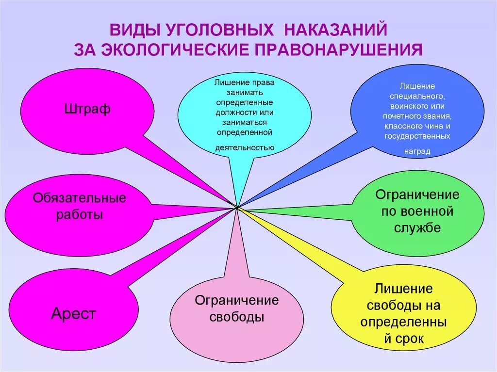 Экологическое право виды правонарушений. Уголовная ответственность за экологические правонарушения. Виды экологических правонарушений уголовное.