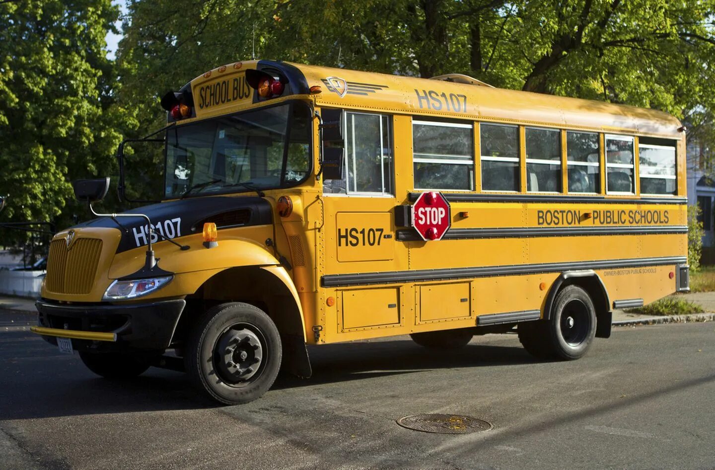 School time bus. Hidden side school bus number. bus school 2025 ne.