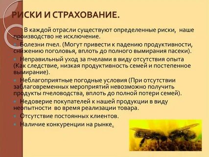 Социальный контракт пчеловодство