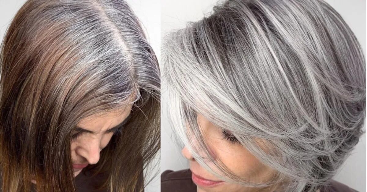 Джек мартин колорист. Окрашивание для седеющих волос. Какой краской красить седые. Пепельное мелирование для седых волос. Гамма тонирование седых волос.