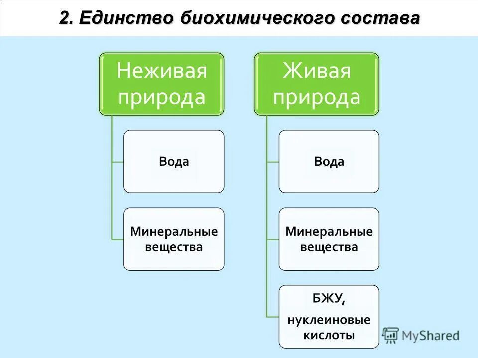 Живые неживые клетки. Единство биохимического состава. Единство химического состава примеры. Состав живых организмов. Единство химического состава это в биологии.