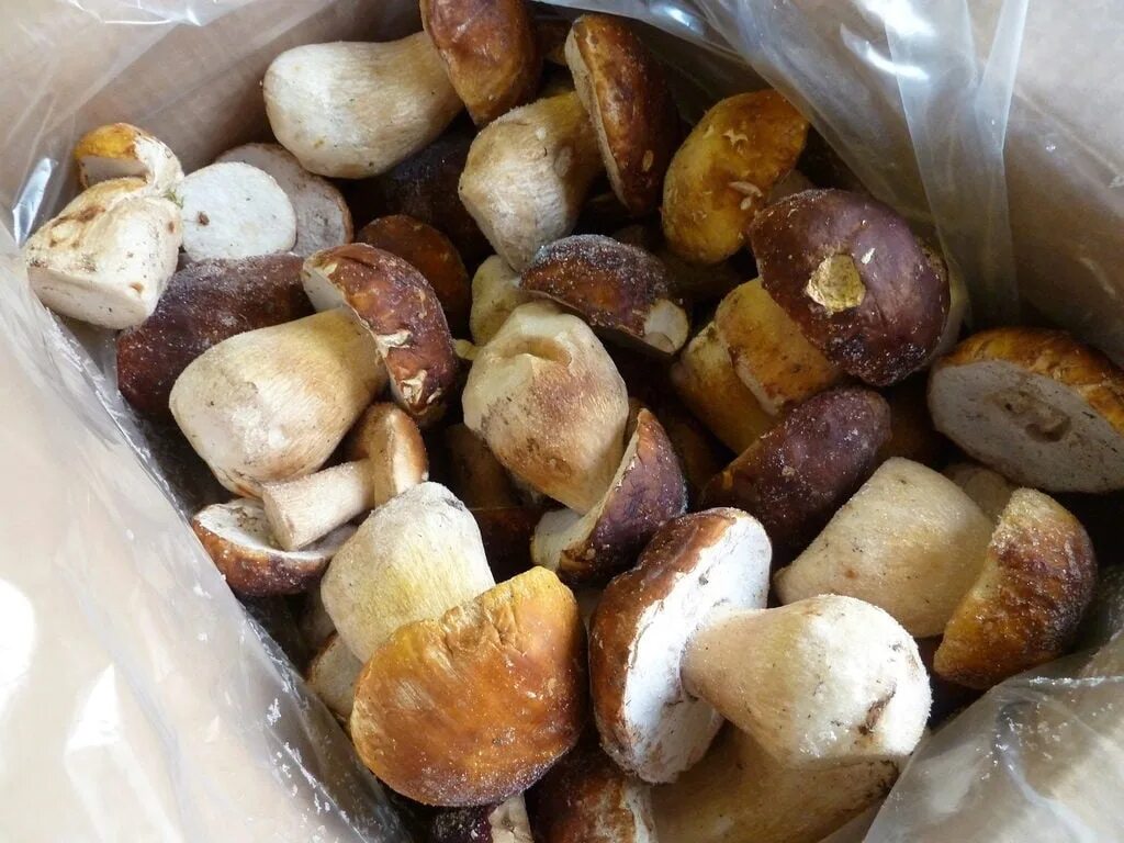 Грибы новосибирске купить. Ведро белых грибов. Пакет белых грибов. Грибы белые свежие. Белые грибы в пакете.