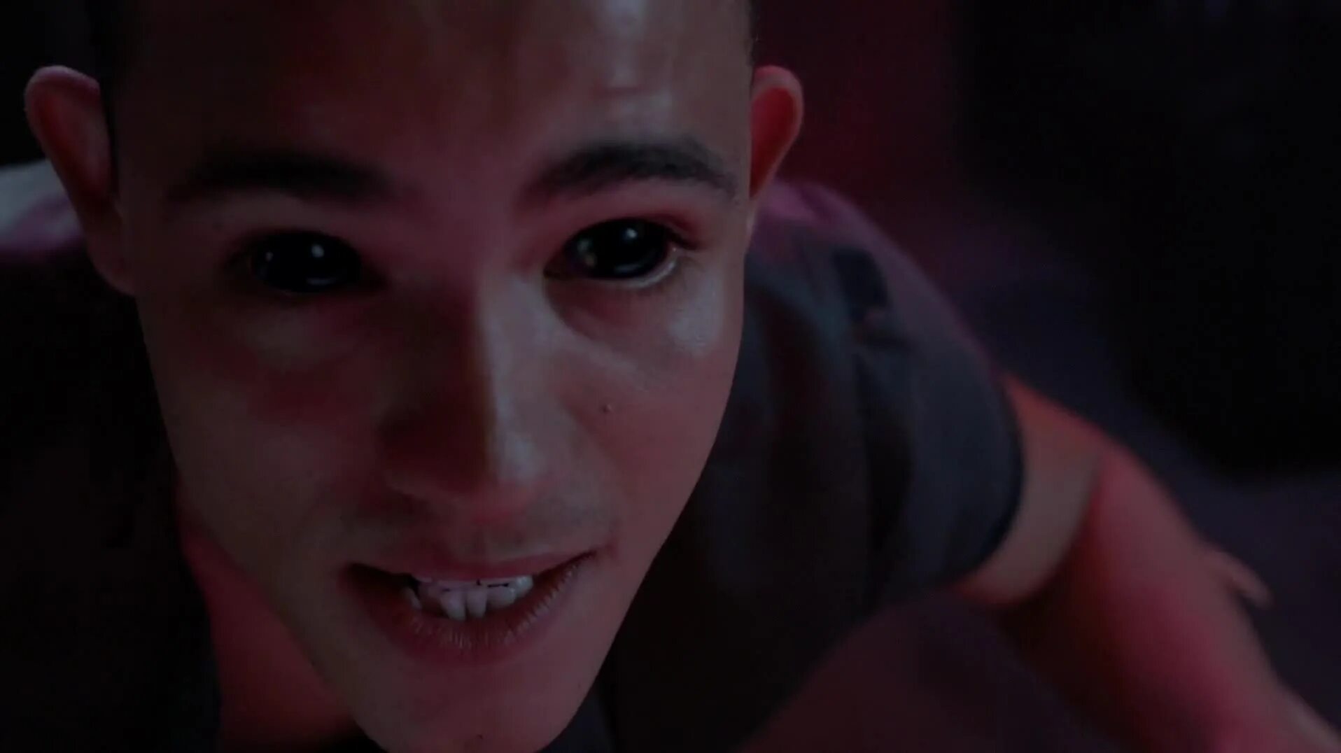 Химера волчонок. Химера волчонок. Виктория моралес волчонок. Трейси стюарт волчонок. Волчонок тео и трейси.