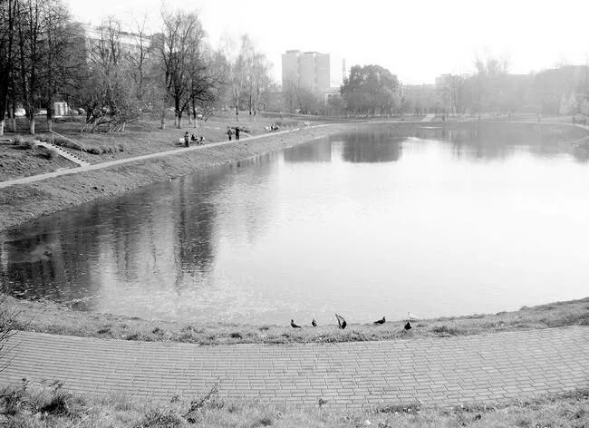 Село зюзино. Средний пруд Зюзино. Деревня Зюзино. Пруд Зюзино 1990. Село Зюзино пруд.