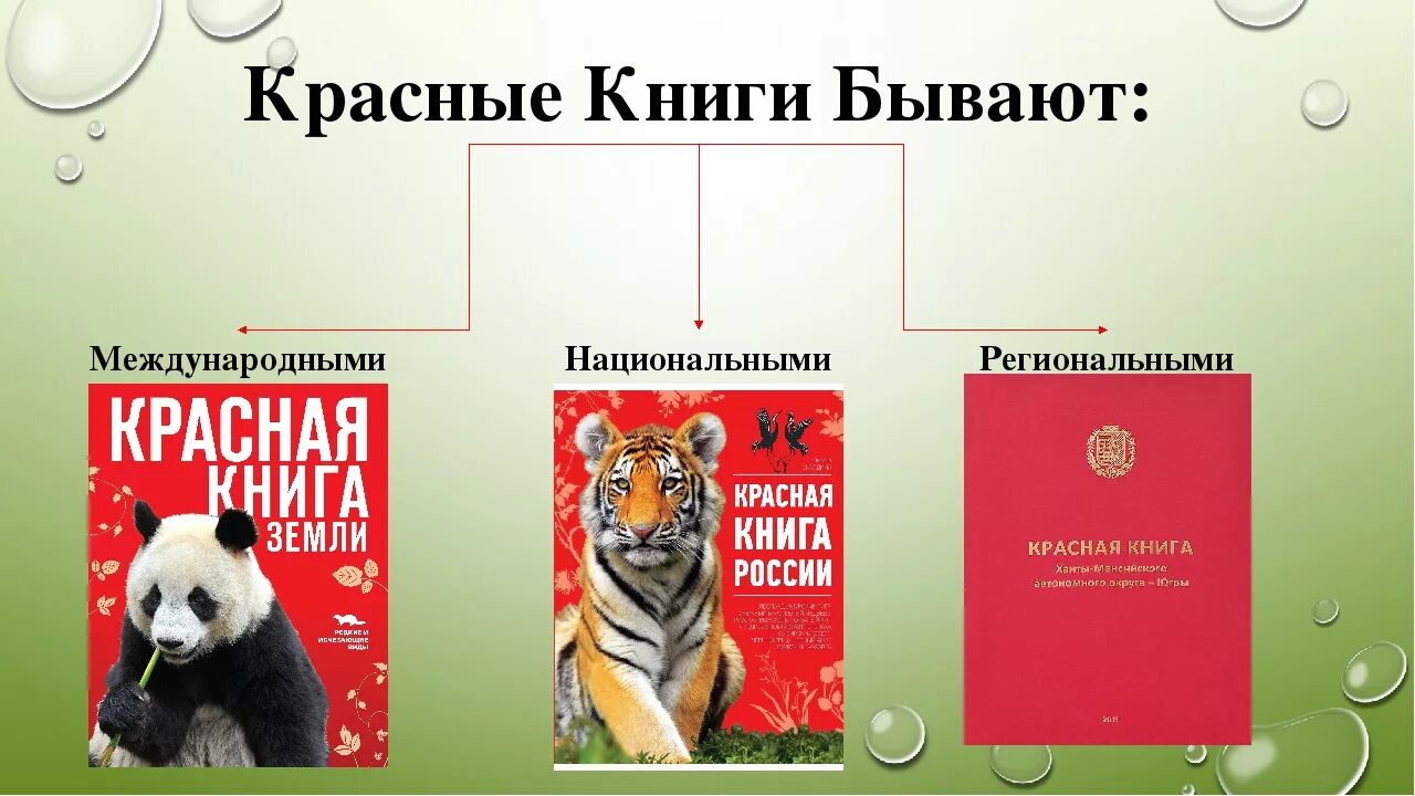 Красная книга краткий рассказ. Красная книга. Какие бывают красные книги. Виды красных книг. Уровни красных книг.