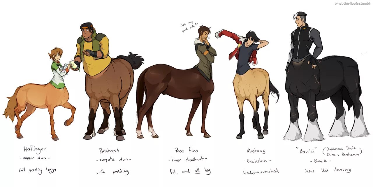 Village of centaurs