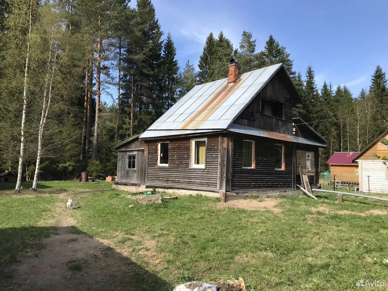 Район Выборгский поселение Рощинское. Финская дача ЛЕНОБЛАСТЬ. Дача в лесу в Ленинградской области. Свободное Выборгский район.