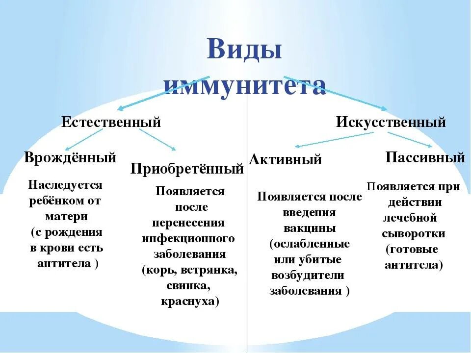 Как называется вид естественного иммунитета. Таблица виды иммунитета естественный и искусственный. иммунитет естественный и искусственный схема. виды иммунитета естественный искусственный. виды иммунитета схема.