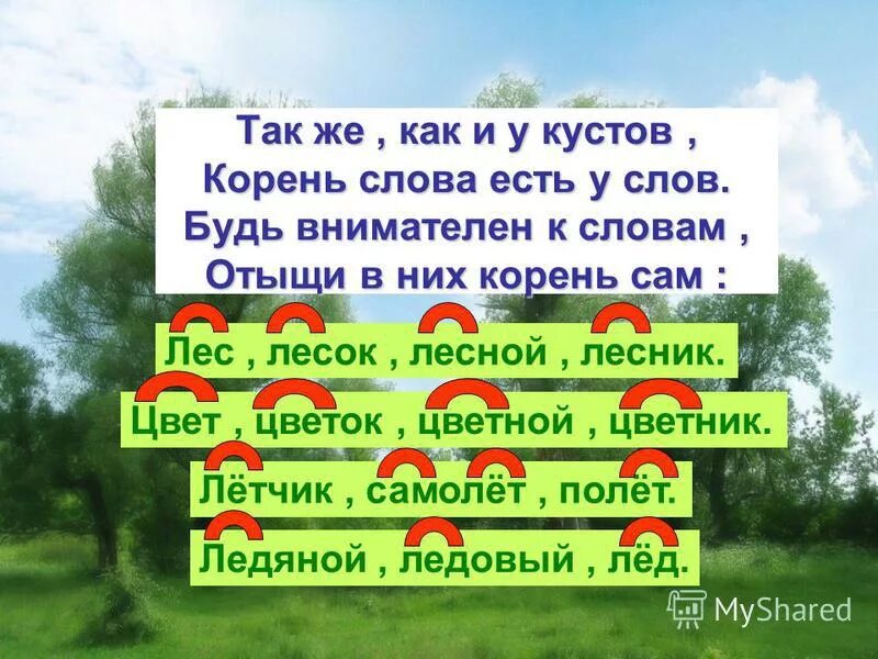 Разобрать слово кустик
