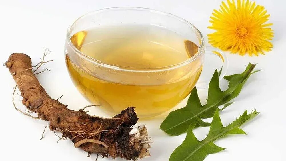 Одуванчик лекарственный цветок. Чем полезен корень одуванчика. Чай из одуванчиков. Корень одуванчика как заваривать. Корень одуванчика как заваривать.