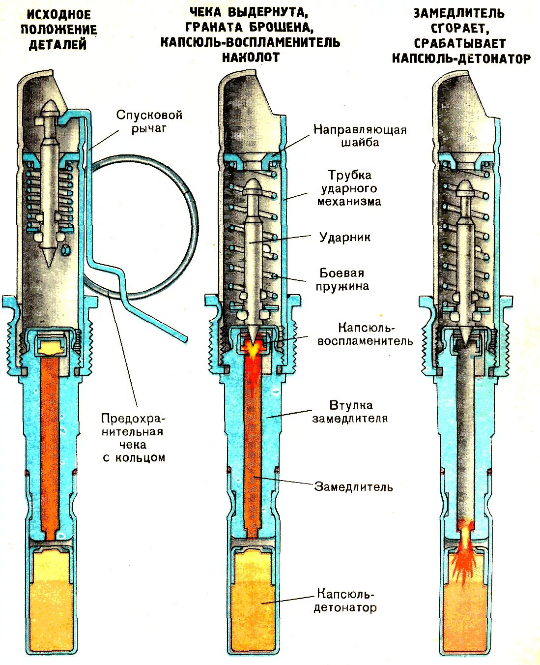 Устройство ручных гранат ф-1 ргд-5. Как работает граната. Составные части гранаты ф1. Устройство взрывателя гранаты ф1. Схема запала гранат ф1.