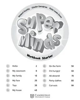 Super minds workbook
