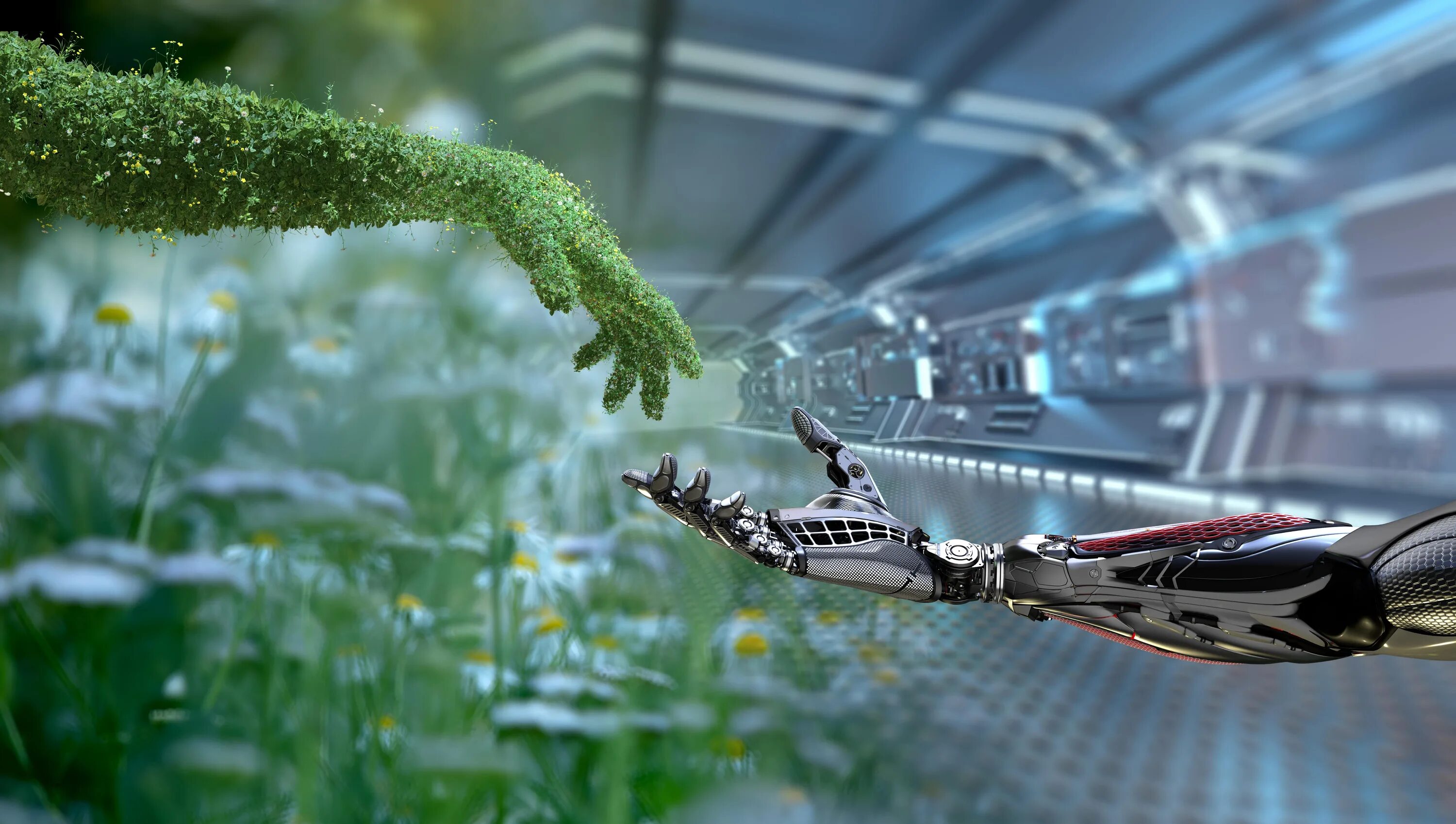 Environmental programming
