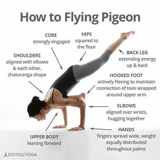 Your cheat sheet to let your pigeon fly! 