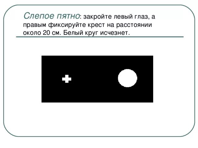 Обнаружение слепого пятна практическая. Обнаружение слепого пятна опыт Мариотта. Слепая зона глаза. Выявления слепого пятна в глазу. Слепое пятно глаза.