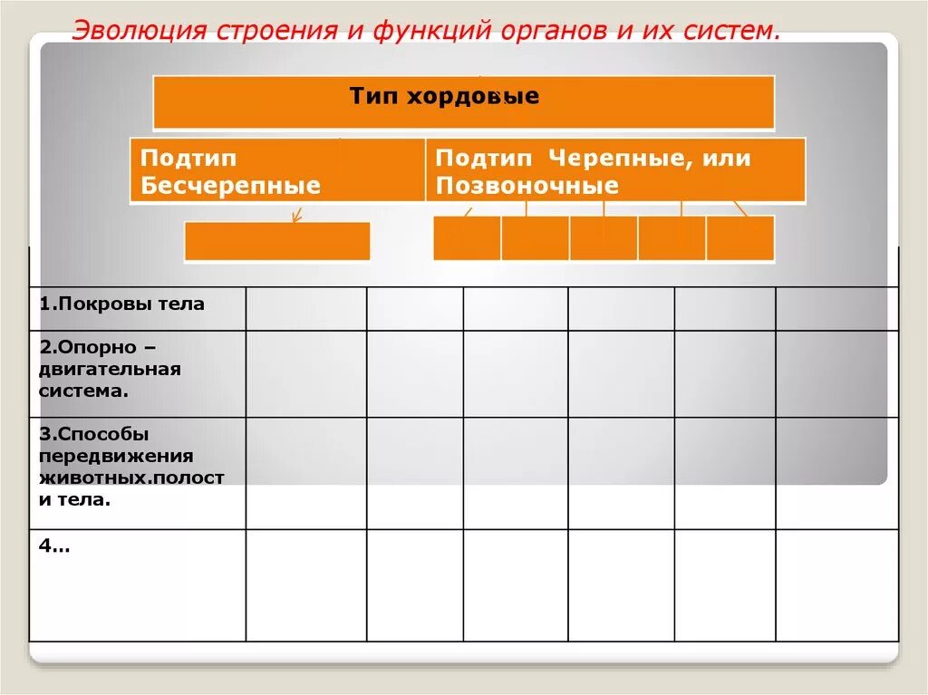 Эволюция строения и функций. Эволюция строения органов и систем органов. Эволюция строения животных покровы тела. Эволюция строения и функций органов и систем органов у животных. Эволюция строения и функций органов и их систем 7 класс.