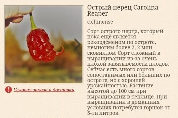 Добавь перчика доброта 51. Добавь перчика доброта 51