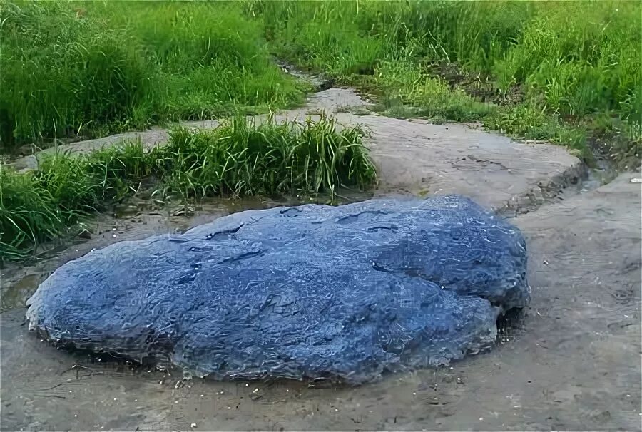 На что похож минерал на фотографии?" - Яндекс Кью