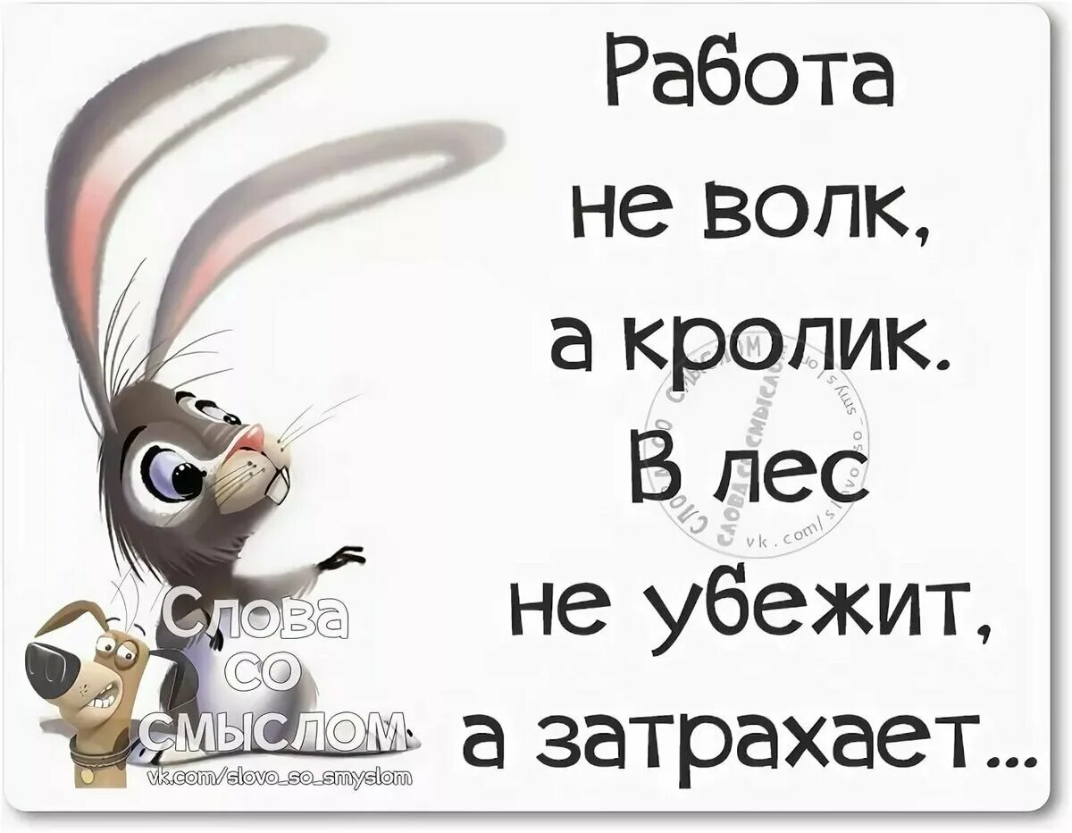 Работа не волк. Пословица работа не волк. Работа не волк в лес не убежит. Работа не волк шутка.