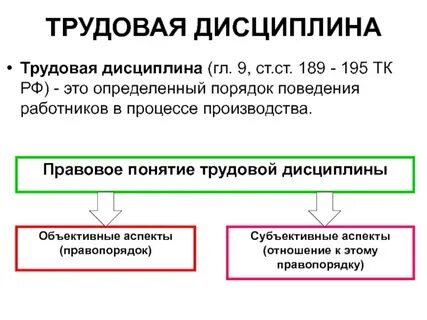 Трудовая дисциплина экономика
