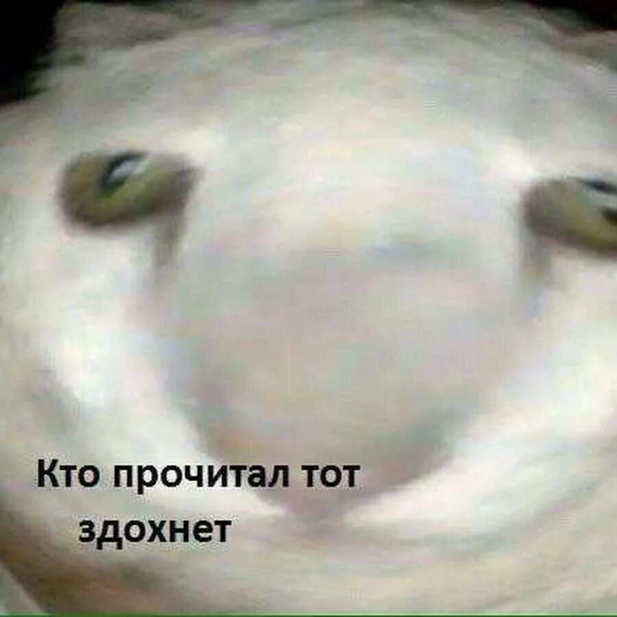 Здохнем мы все обязательно сдохнем песня