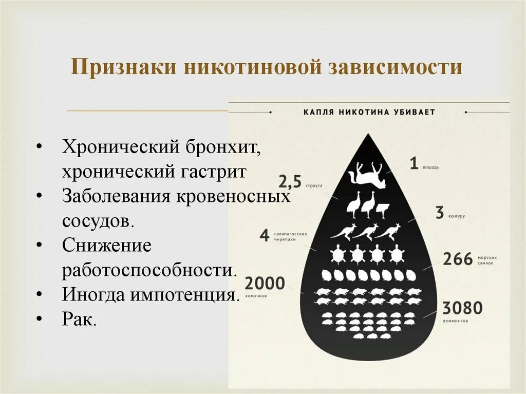 Степень никотиновой зависимости. Признаки никотиновой зависимости. Никотиновая зависимость. Проявление никотиновой зависимости. Назовите основные признаки никотиновой зависимости.