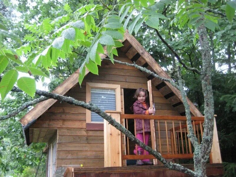 Дачи россиян. Домик на участке. Обычный дачный участок. Пензаинформ наша дача за 9 сентября. Эстетика загородной жизни.