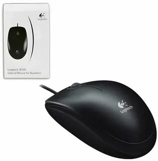 Mouse b
