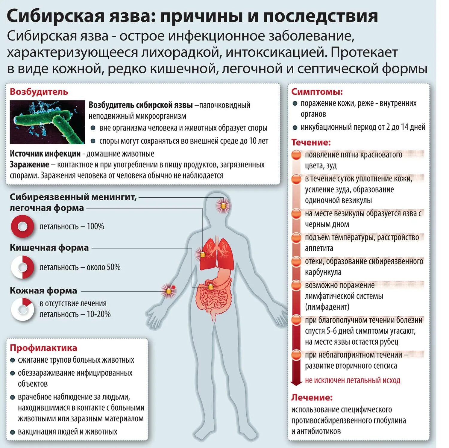 Симптомы различных болезней. Клинические симптомы сибирской язвы. вызываемые заболевания сибирская язва. сисптомы сибирский язвы. симптомы с бирской язвы.