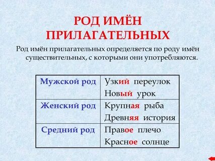Как понять род прилагательного