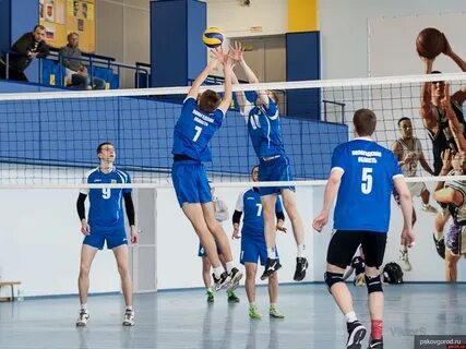 Спорт псков