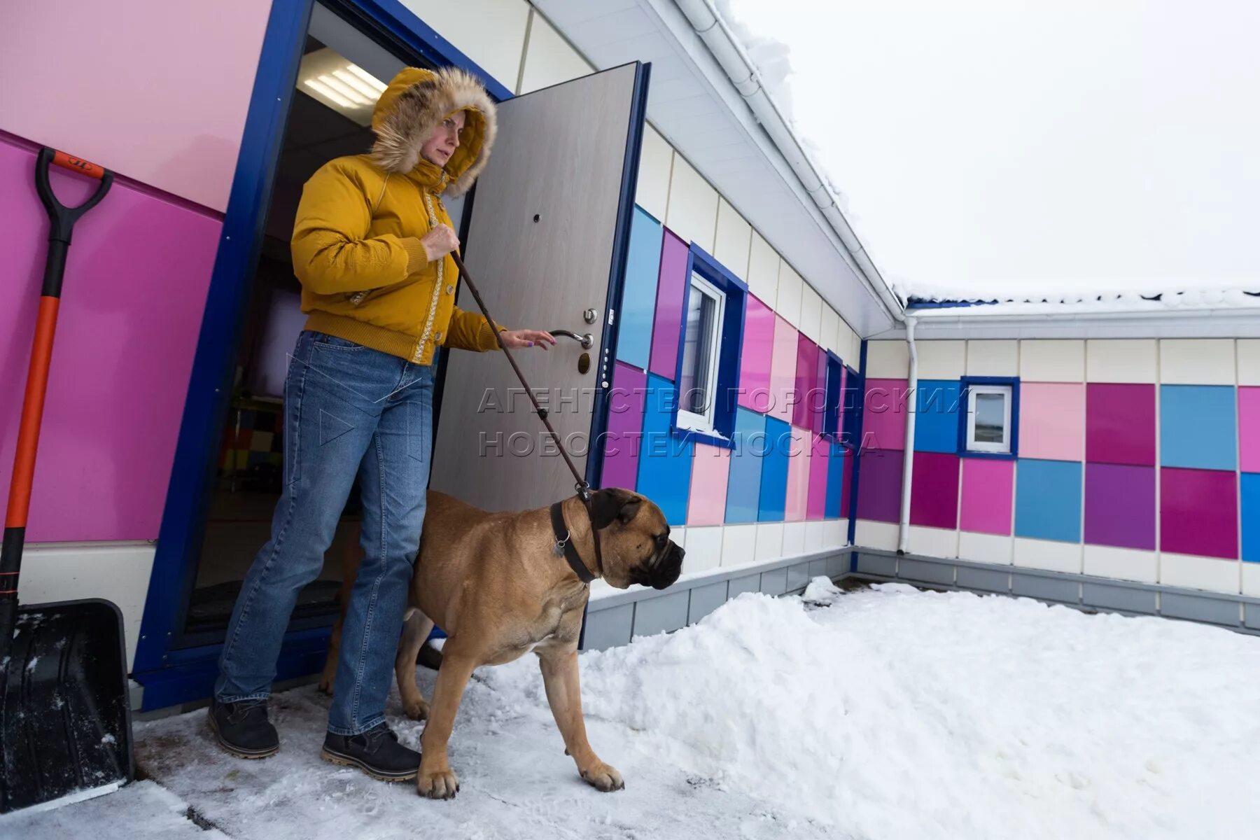 Dog village. Дог Виладж Павловский Посад. Дог Вилладж зоогостиница. Питомник собак в Сергиев Посаде. Салон для собак Сергиев Посад.