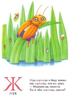 Скажи жук