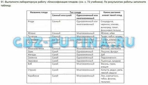 Биологии 6 класс учебник плод