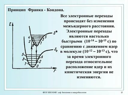Принцип франка кондона