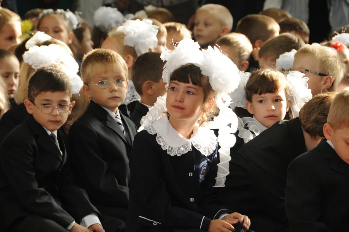 Школьная форма для многодетных. Школьная форма для многодетных семей. Школьная форма тверь многодетным 2022. Денежная компенсация за школьную форму. Одежда для школьников.