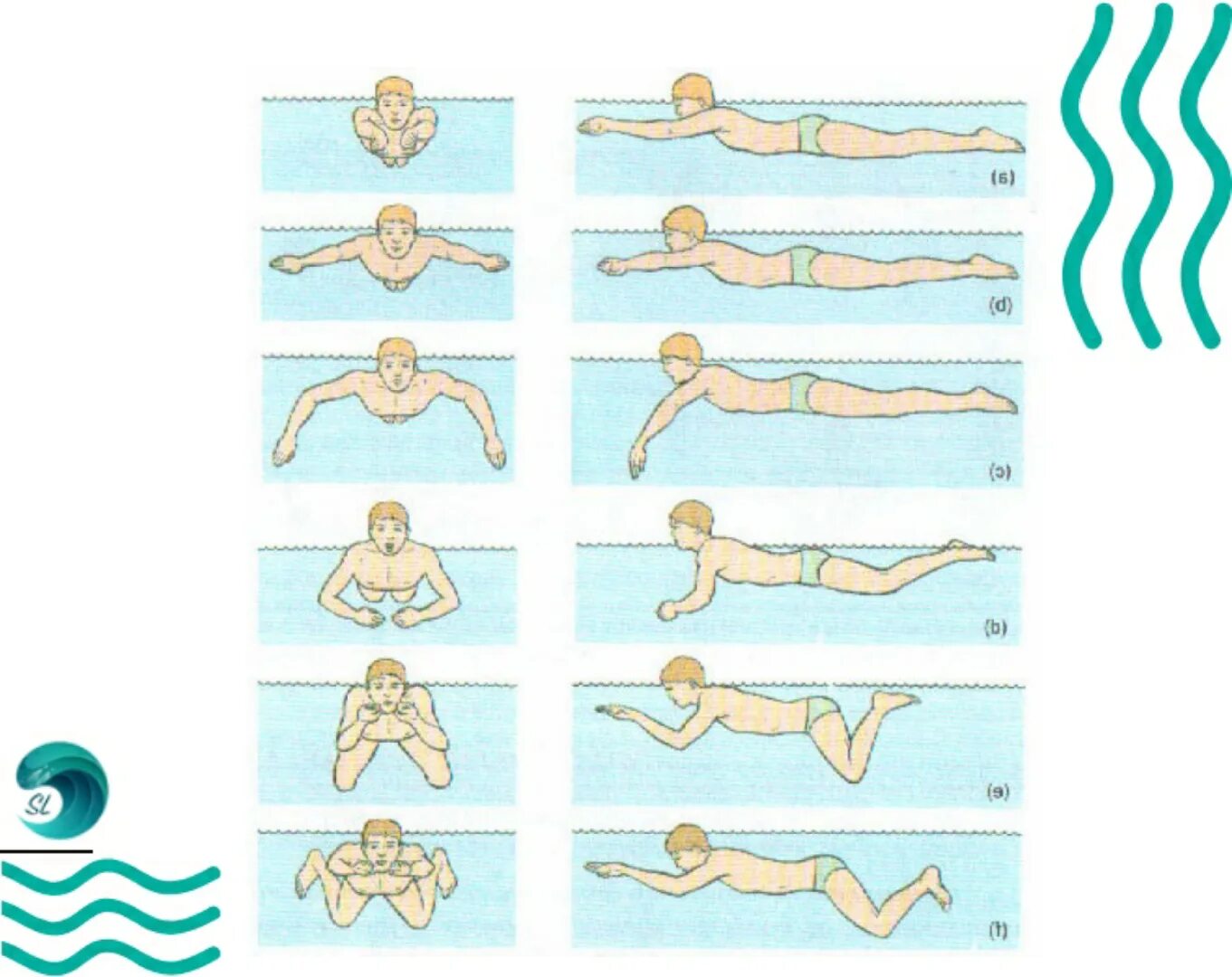 Обучение плаванию начинающих. Стиль плавания брасс техника. Техника плавания брассом. Плавание брасс Кроль Баттерфляй. Стили плавания в бассейне брасс.