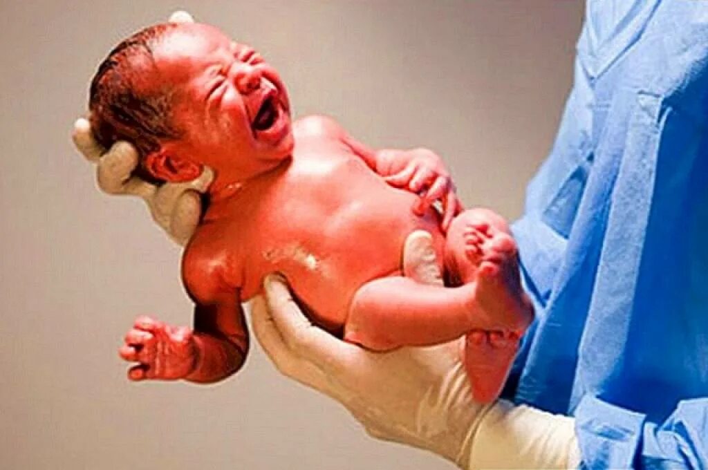 Дети рожденные в среду. Новорожденный ребенок 35 недель. Характер человека по дню недели рождения. Люди родившиеся во вторник. Семимесячный жеребенок.