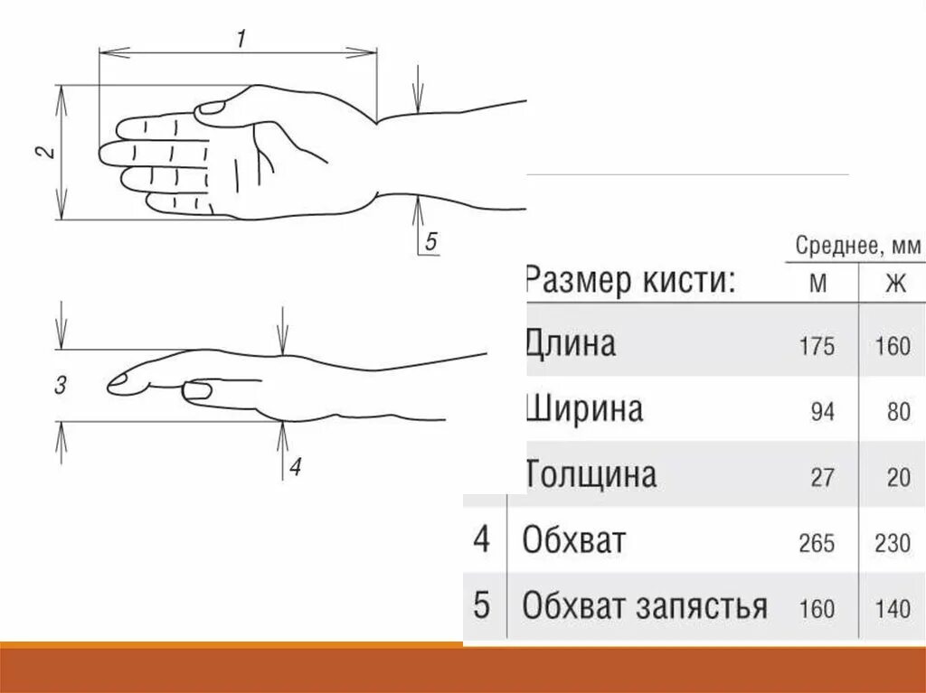 Размер запястья. Длина кисти как измерить. Размер мужского запястья. Размер женского запястья. Размеры запястье у девушек