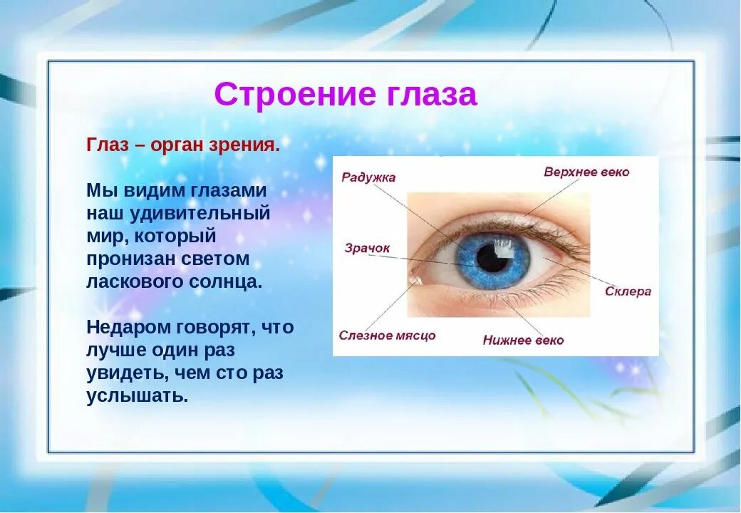 Охрана здоровья зрения. Органы чувств глаза. Глаза орган зрения. Органы чувств человека глаза орган зрения. Строение глаза человека для детей.
