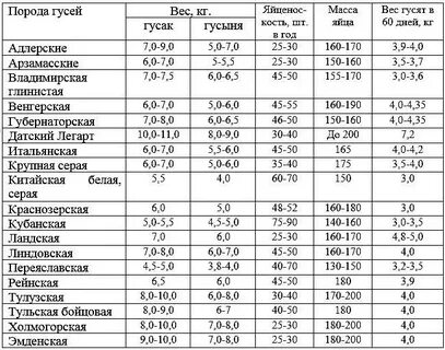 Масса гуся 4