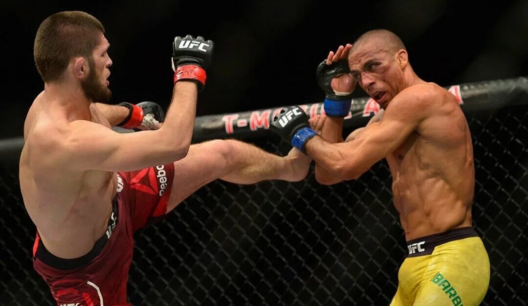 Ufc даты боев