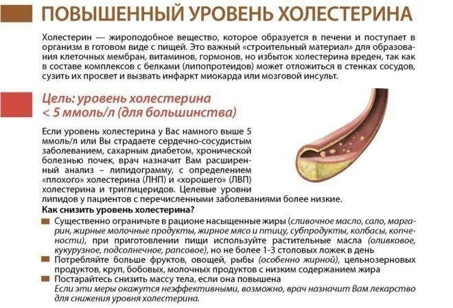 Холестерин повышен причины и лечение. Причины повышенного холестерина. повышение уровня холестерина в крови причины. повышенный уровень холестерина в крови у женщин причины лечение. холестерин в крови повышен у мужчин причины.